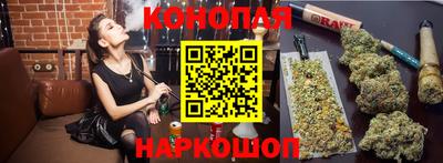 крисы Лесосибирск