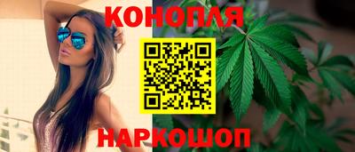 крисы Лесосибирск