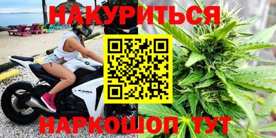 крисы Лесосибирск
